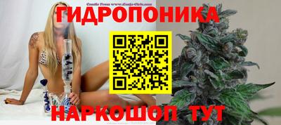 СК Малгобек